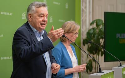 20250325 PK Die Gruenen - Plenar-Vorschau und Aktuelles-stock-photo