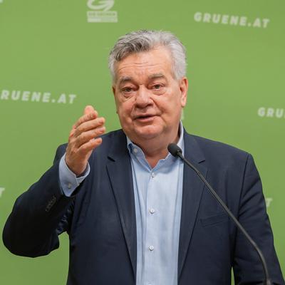 20250325 PK Die Gruenen - Plenar-Vorschau und Aktuelles-stock-photo
