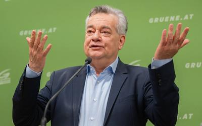 20250325 PK Die Gruenen - Plenar-Vorschau und Aktuelles-stock-photo