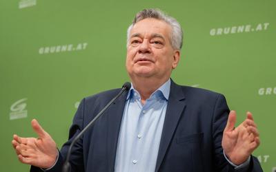 20250325 PK Die Gruenen - Plenar-Vorschau und Aktuelles-stock-photo