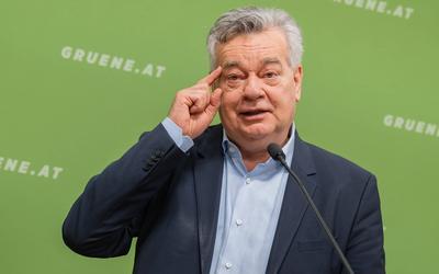 20250325 PK Die Gruenen - Plenar-Vorschau und Aktuelles-stock-photo