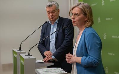 20250325 PK Die Gruenen - Plenar-Vorschau und Aktuelles-stock-photo
