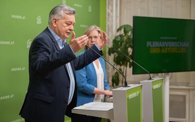 20250325 PK Die Gruenen - Plenar-Vorschau und Aktuelles-stock-photo