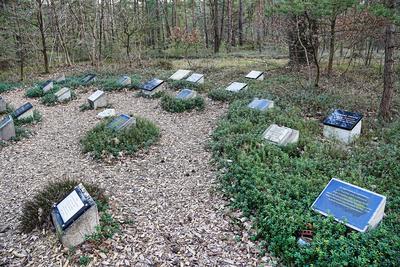 KZ Gedenkst?tte Bergen-Belsen KZ Gedenkst?tte Bergen-Belsen Copyright: xZoonar.com/HGVorndranx 21446131-stock-foto