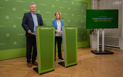 20250325 PK Die Gruenen - Plenar-Vorschau und Aktuelles-stock-photo