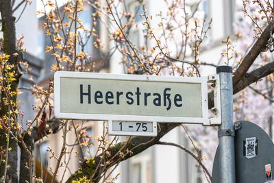 Kirschbl?ten in der Bonner Altstadt 25.03.2025-stock-foto