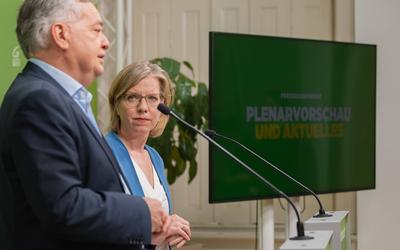20250325 PK Die Gruenen - Plenar-Vorschau und Aktuelles-stock-photo
