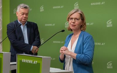 20250325 PK Die Gruenen - Plenar-Vorschau und Aktuelles-stock-photo