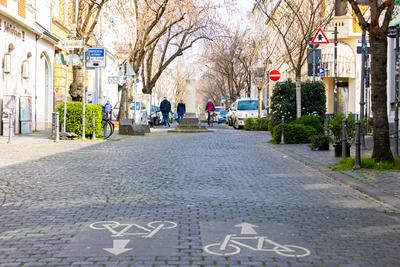 Kirschbl?ten in der Bonner Altstadt 25.03.2025-stock-foto