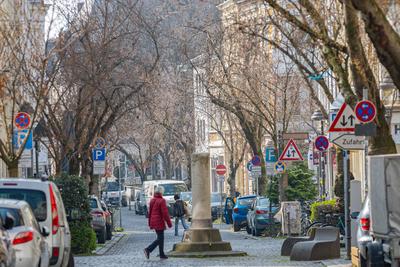 Kirschbl?ten in der Bonner Altstadt 25.03.2025-stock-foto