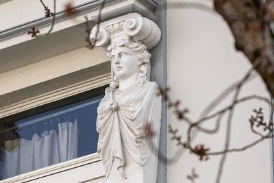 Kirschbl?ten in der Bonner Altstadt 25.03.2025-stock-foto