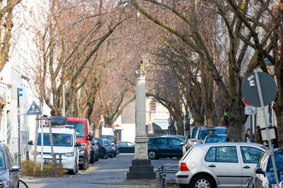 Kirschbl?ten in der Bonner Altstadt 25.03.2025-stock-foto