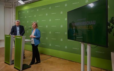 20250325 PK Die Gruenen - Plenar-Vorschau und Aktuelles-stock-photo