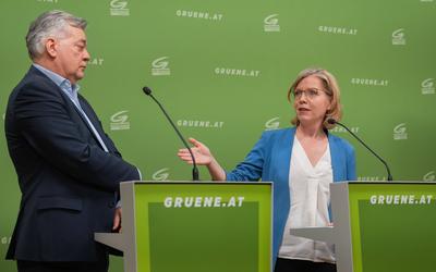 20250325 PK Die Gruenen - Plenar-Vorschau und Aktuelles-stock-photo