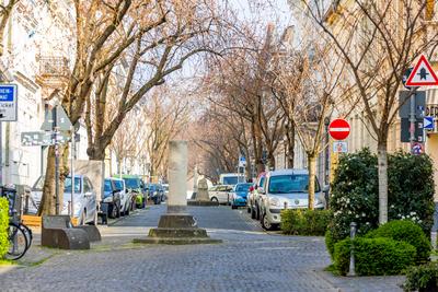 Kirschbl?ten in der Bonner Altstadt 25.03.2025-stock-foto