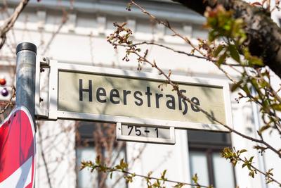 Kirschbl?ten in der Bonner Altstadt 25.03.2025-stock-foto