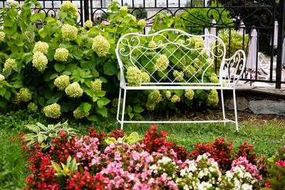 Wei?e Bank mit Hortensienbl?ten im Garten.-stock-foto