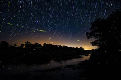 A trail of fireflies at dusk above a river Londolozi Game Reserve,South Africa,A trail of fireflies at dusk above a rive-stock-foto