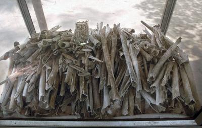 Bildnummer: 59874319  Datum: 29.03.2008  Copyright: imago/epdKnochen von Ermordeten in der Gedenkst?tte Choeung Ek s?dlich von Phnom Penh (Kambodscha) am 29.3.2008. Der ehemalige Ort von Massenhinrichtungen erinnert heute an den V?lkermord des Pol Pot-Regimes. Dem Terror-Regime der Roten Khmer sind zwischen 1975 und 1979 rund zwei Millionen Menschen zum Opfer gefallen. DER ABDRUCK DES EPD-FOTOS IST HONORARPFLICHTIG! Gedenkst?tte Choeung Ek bei Phnom Penh (Kambodscha) 03 xcb x0x 2008 quer Killing Fields Asien Kambodscha Politik Geschichte Gedenkst?tten  59874319 Date 29 03 2008 Copyright Imago epd Bones from Murdered in the Memorial Choeung EK south from Phnom Penh Cambodia at 29 3 2008 the former Place from Mass executions recalls Today to the Genocide the POL Pot Regime the Terror Regime the Red Khmer are between 1975 and 1979 Around Two Million People to Victims fallen the Imprint the epd Photos is  Memorial Choeung EK at Phnom Penh Cambodia 03  x0x 2008 horizontal Killing Fields Asia Cambodia politics History Memorials-stock-photo