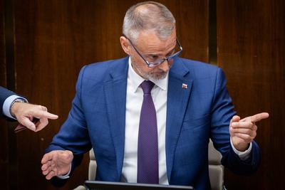 NATIONAL COUNCIL OF SLOVAKIA MEETING-stock-foto