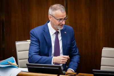 NATIONAL COUNCIL OF SLOVAKIA MEETING-stock-foto