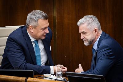 NATIONAL COUNCIL OF SLOVAKIA MEETING-stock-foto