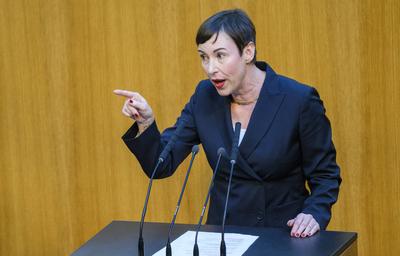 20250327 Nationalratssitzung-stock-foto