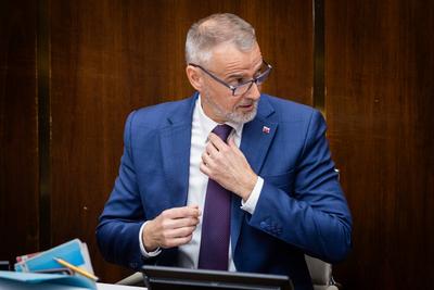 NATIONAL COUNCIL OF SLOVAKIA MEETING-stock-foto