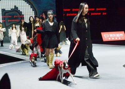 SHANGHAI, CHINA - MARCH 28: Pet dogs accompanied by models walk the runway during 2025 Petjoy Fashion Week at Shanghai F-stock-foto
