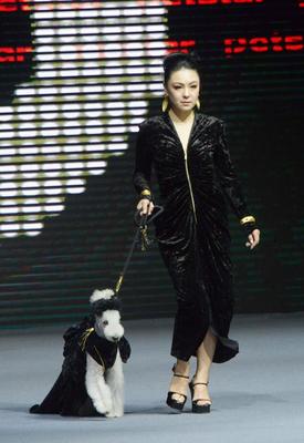 SHANGHAI, CHINA - MARCH 28: A pet dog accompanied by model walks the runway during 2025 Petjoy Fashion Week at Shanghai-stock-photo