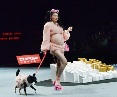 SHANGHAI, CHINA - MARCH 28: A pet dog accompanied by model walks the runway during 2025 Petjoy Fashion Week at Shanghai-stock-photo