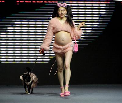 SHANGHAI, CHINA - MARCH 28: A pet dog accompanied by model walks the runway during 2025 Petjoy Fashion Week at Shanghai-stock-photo