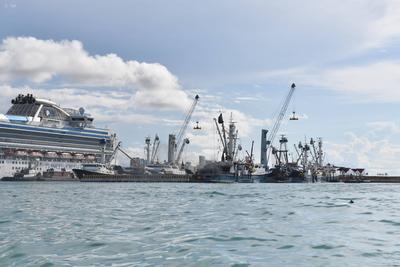 MANTA-PUERTO-BASE-stock-foto
