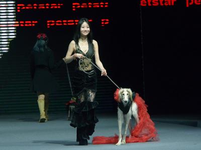 SHANGHAI, CHINA - MARCH 28: A pet dog accompanied by model walks the runway during 2025 Petjoy Fashion Week at Shanghai-stock-photo