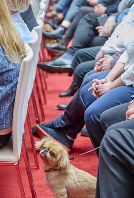 Deutscher Lehrkr?ftepreis - Vorbildliche Schulleitung-stock-photo