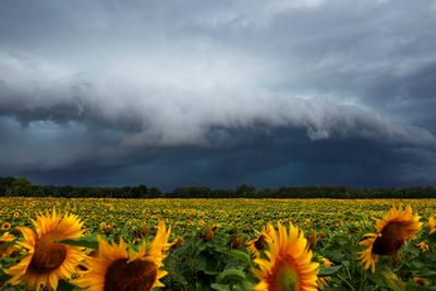 News Bilder des Tages Wetter in Brandenburg - Unwetter ziehen ueber die Lausitz DEU/Deutschland/Brandenburg/Neupetershai-stock-photo