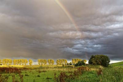 Regenbogen am Abendhimmel Regenbogen am Abendhimmel Copyright: xZoonar.com/rolfxpoetschx 11277277-stock-photo