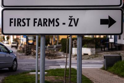 FOOT AND MOUTH DISEASE SLOVAKIA-stock-foto