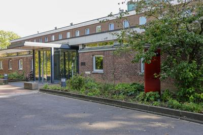 Sexueller Missbrauch in der katholischen Kirche. 10.10.2023, EU, DEU, Deutschland, Nordrhein-Westfalen, Essen: das Kardi-stock-foto