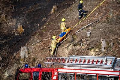 Waldbr?nde im Sauerland-stock-foto