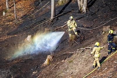 Waldbr?nde im Sauerland-stock-foto