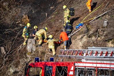 Waldbr?nde im Sauerland-stock-foto