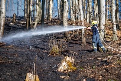 Waldbr?nde im Sauerland-stock-foto