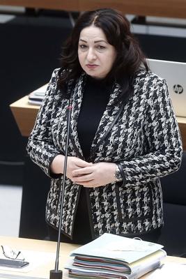 Plenarsitzung Berliner Abgeordnetenhaus-stock-foto
