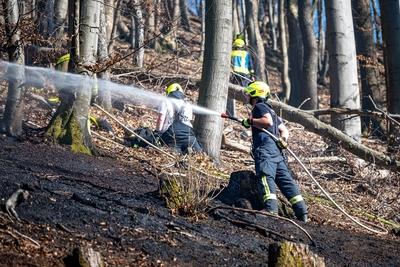 Waldbr?nde im Sauerland-stock-foto