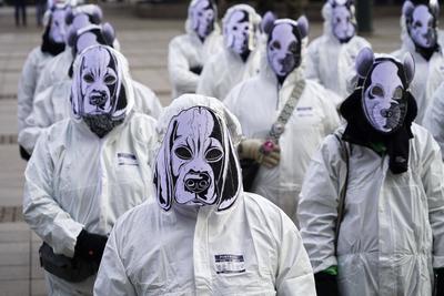 Mahnwache f?r den Tierschutz - Aktivisten in wei?en Overalls sorgen f?r d?stere Stimmung beim SPD Neujahrsempfang 05.02.2023 Hamburg - Rathausmarkt Symbol Hamburger Stadtmusikanten der get?teten Tiere im Tierversuch vor dem Aus - Tiersch?tzer demonstrieren w?hrend des Neujahrsempfangs der SPD im Rathaus - Aktivisten marschieren symbolisch durch Innenhof des Rathauses HH Deutschland *** Vigil for the Animal welfare Activists in white Overalls Worries for grim Mood at SPD New Year reception 05 02 2023 Hamburg City Hall market symbol Hamburg Town Musicians the killed Animals at Animal experiment before the from Animal welfare activists demonstrate during of New Year reception the SPD at City Hall Activists march symbolic through Courtyard of-stock-foto