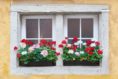 Fenster eines mittelalterlichen Hauses in der Altstadt von Rothenburg ob der Tauber in Deutschland mit Geranien-stock-photo