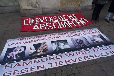 Mahnwache f?r den Tierschutz - Aktivisten in wei?en Overalls sorgen f?r d?stere Stimmung beim SPD Neujahrsempfang 05.02.2023 Hamburg - Rathausmarkt Symbol Hamburger Stadtmusikanten der get?teten Tiere im Tierversuch vor dem Aus - Tiersch?tzer demonstrieren w?hrend des Neujahrsempfangs der SPD im Rathaus - Aktivisten marschieren symbolisch durch Innenhof des Rathauses HH Deutschland *** Vigil for the Animal welfare Activists in white Overalls Worries for grim Mood at SPD New Year reception 05 02 2023 Hamburg City Hall market symbol Hamburg Town Musicians the killed Animals at Animal experiment before the from Animal welfare activists demonstrate during of New Year reception the SPD at City Hall Activists march symbolic through Courtyard of-stock-foto