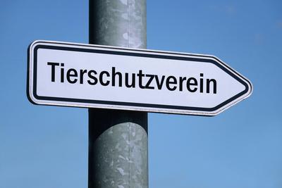 Wegweiser mit Tierschutzverein Wegweiser mit Tierschutzverein, 09.12.2023, Borkwalde, Brandenburg, Auf einem Wegweiser b-stock-foto