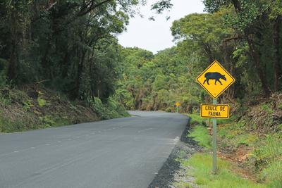 Hinweisschild mit Tapir, Costa Rica, Los Quetzales Nationalpark information sign with tapir, Costa Rica, Los Quetzales N-stock-foto